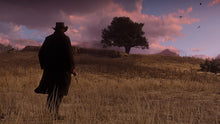 Load image into Gallery viewer, Red Dead Redemption 2