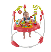 Load image into Gallery viewer, Fisher-Price Jumperoo