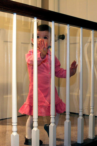 Cardinal Gates Banister Shield 15' Roll Clear