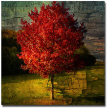 Load image into Gallery viewer, Trademark Fine Art Autumn Red by Philippe Sainte-Laudy Canvas Wall Art