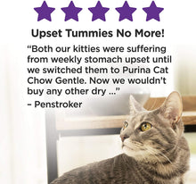 Load image into Gallery viewer, Purina Cat Chow Gentle Sensitive Stomach Adult Dry Cat Food