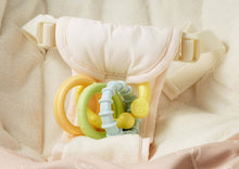 Load image into Gallery viewer, Fisher-Price Sweet Snugapuppy Dreams Deluxe Rock &#39;n Play Sleeper
