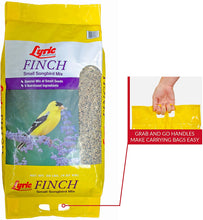 Load image into Gallery viewer, Lyric Finch Small Songbird