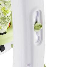 Load image into Gallery viewer, Evenflo ExerSaucer Jump and Learn Jumper