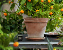 Load image into Gallery viewer, Eve Degree - Connected Weather Station for tracking temperature, humidity &amp; air pressure; IPX3 water resistance, display, no bridge necessary, Bluetooth Low Energy (Apple HomeKit)