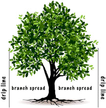 Load image into Gallery viewer, Jobe&#39;s 01661 Evergreen Fertilizer Spikes, 15, Brown - 1 Pack