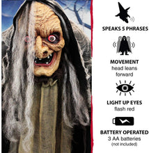 Load image into Gallery viewer, Haunted Hill Farm HHWITCH-13FLSA Life Size Animatronic Witch, Indoor/Outdoor Halloween Decoration, Multi