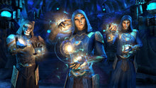 Load image into Gallery viewer, The Elder Scrolls Online: Summerset