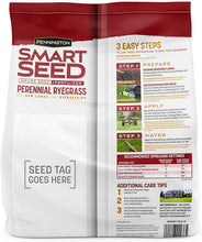 Load image into Gallery viewer, Pennington Smart Seed Perennial Ryegrass and Fertilizer Blend, 3 Pounds