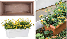 Load image into Gallery viewer, Bloem Veranda Planter