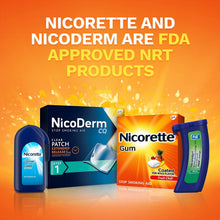 Load image into Gallery viewer, Nicorette 4 mg Nicotine Gum to Quit Smoking - Flavored Stop Smoking Aid, Fruit Chill, 100 Count