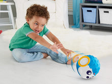 Load image into Gallery viewer, Fisher-Price Think &amp; Learn Rhythm &#39;n Roll Hedgehog