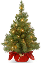 Load image into Gallery viewer, National Tree Company
