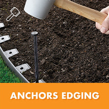 Load image into Gallery viewer, Dimex EasyFlex Plastic 24 Count Spiral Nylon Landscape Anchoring Spikes, 8-Inch (1989N-24C)