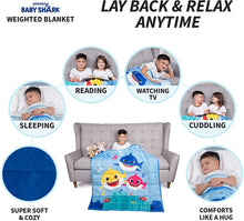 Load image into Gallery viewer, Franco Weighted Blanket with Bonus Door Knob Pillow