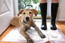 Load image into Gallery viewer, Hartz Home Protection Odor Eliminating Scented Dog Pads, Super Absorbent &amp; Won’t Leak, Lavender Scent, Pad Size &amp; Package Count Varies