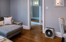 Load image into Gallery viewer, NewAir Portable Ceramic Space Heater