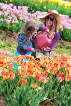 Load image into Gallery viewer, Bloem Aqua Rite Watering Can, 56 oz, Union Red (AW21-12)