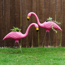 Load image into Gallery viewer, Bloem Flamingo