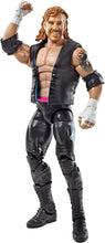 Load image into Gallery viewer, WWE Elite Collection Series #36 - Diamond Dallas Page Figure