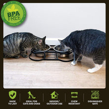 Load image into Gallery viewer, Iconic Pet Dog or Cat Stainless Steel Double Diner Elevated Bowl Set with Heavy Duty Bone Shaped Rim