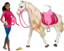 Load image into Gallery viewer, Barbie Dream Horse &amp; Black Hair Doll