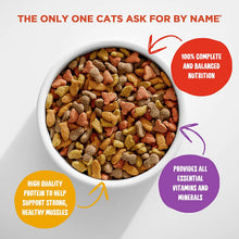Load image into Gallery viewer, Meow Mix Original Choice Dry Cat Food