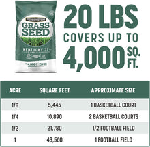 Load image into Gallery viewer, Pennington Kentucky 31 Tall Fescue Grass Seed, 20 Pounds