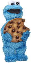 Load image into Gallery viewer, Sesame Street Peekaboo Cookie Monster Talking 13-Inch Plush Toy for Toddlers, Kids 18 Months &amp; Up