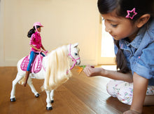 Load image into Gallery viewer, Barbie Dream Horse &amp; Black Hair Doll