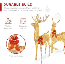 Load image into Gallery viewer, Best Choice Products 3-Piece Lighted Christmas Deer Family Set Outdoor Yard Decoration with 360 LED Lights, Stakes, Zip Ties