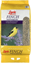 Load image into Gallery viewer, Lyric Finch Small Songbird