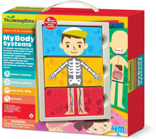 Load image into Gallery viewer, 4M My Body Anatomy Science Kit