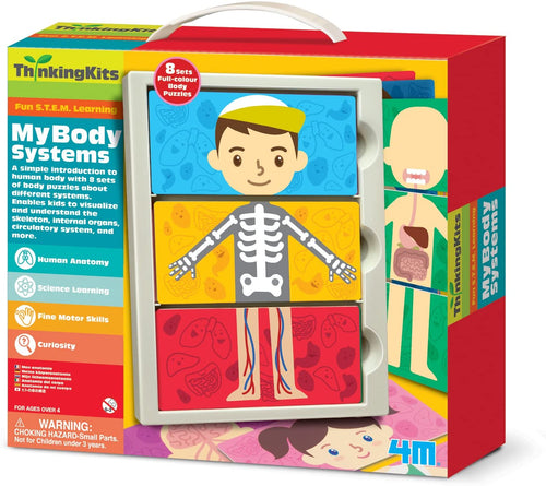 4M My Body Anatomy Science Kit