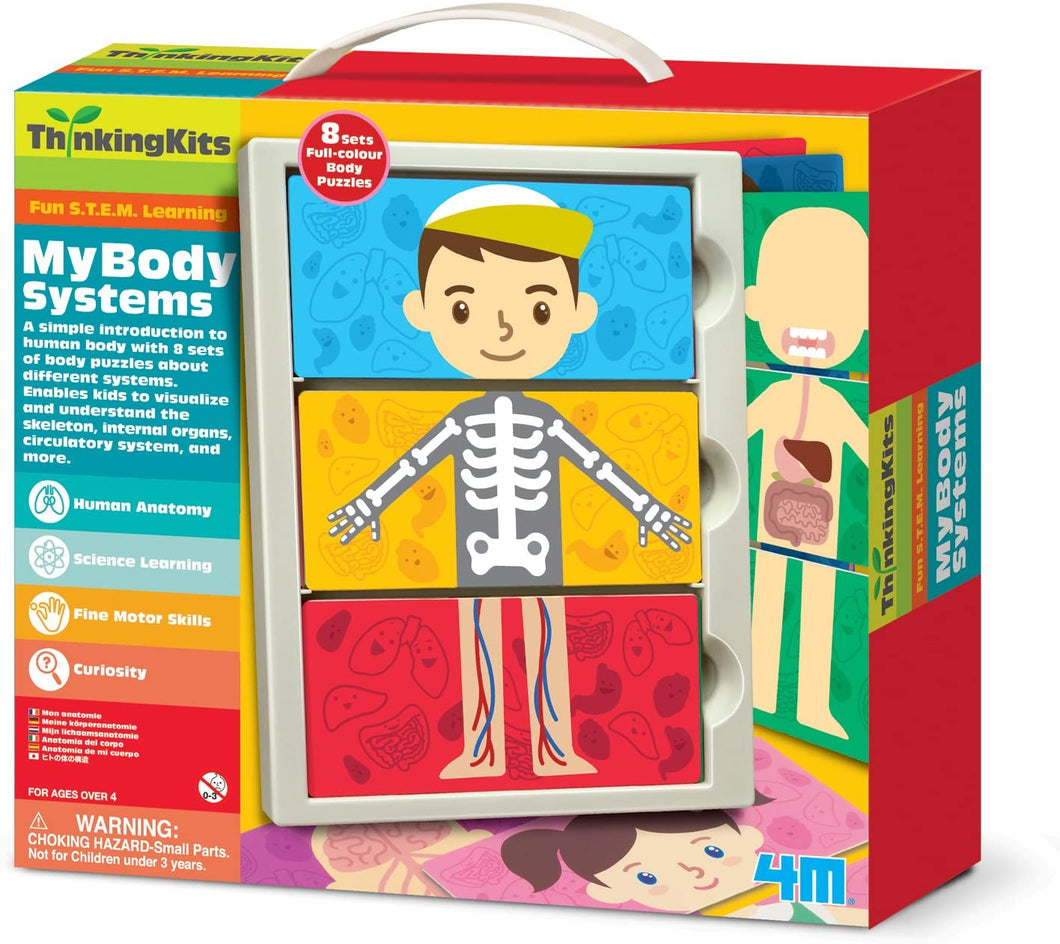4M My Body Anatomy Science Kit