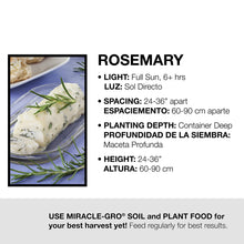 Load image into Gallery viewer, Bonnie Plants 5090 Rosemary 1-PACK 1-PACK