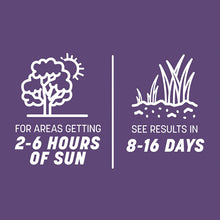 Load image into Gallery viewer, Pennington Smart Tall Fescue Grass