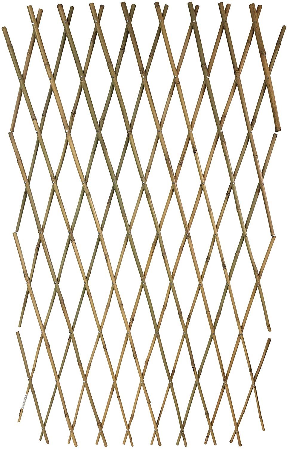 Expandable Bamboo Poles Trellis with Aluminum Rivets