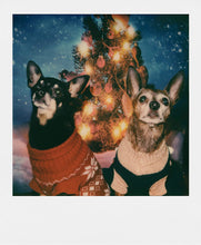 Load image into Gallery viewer, Polaroid Originals