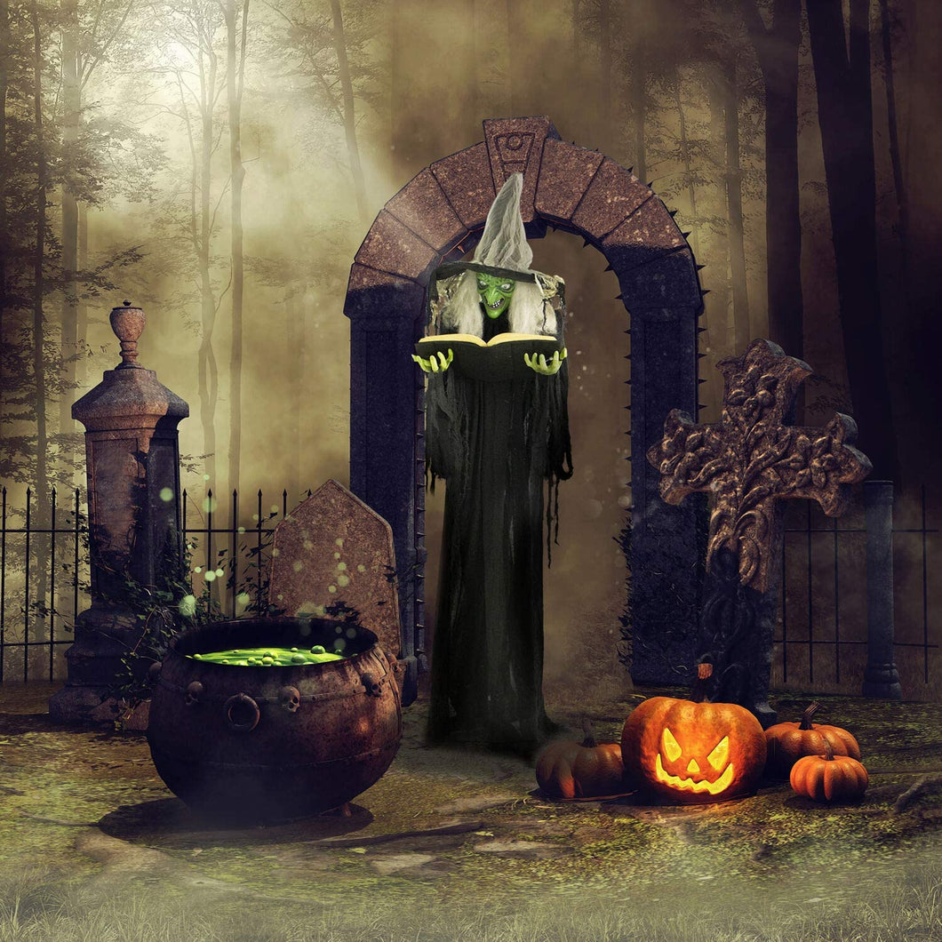 Haunted Hill Farm HHWITCH-9FLS Life-Size Animatronic Witch, Indoor/Outdoor Halloween Decoration, Multi