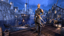 Load image into Gallery viewer, The Elder Scrolls Online: Summerset