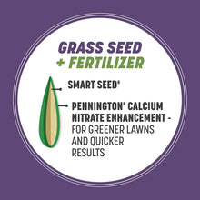Load image into Gallery viewer, Pennington Smart Tall Fescue Grass