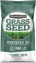 Load image into Gallery viewer, Pennington Kentucky 31 Tall Fescue Grass Seed, 20 Pounds