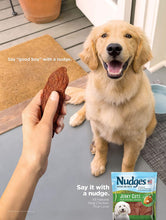 Load image into Gallery viewer, Nudges Soft Bakes with Chicken and Blueberries