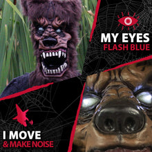 Load image into Gallery viewer, Haunted Hill Farm HHWOLF-2FLSA Life-Size Animatronic Werewolf, Indoor/Outdoor Halloween Decoration, Multi