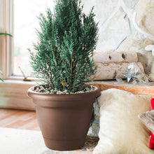 Load image into Gallery viewer, Bloem Lucca Self Watering Planter, 12&quot;, Chocolate (LP1245)