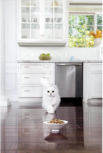 Load image into Gallery viewer, Purina Fancy Feast Wet Cat Food, Elegant Medleys, Florentine Collection, 3-Ounce Can, Pack Of 12