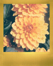 Load image into Gallery viewer, Polaroid Originals 4859 Limited Edition Color Film for 600 - Metallic Gold Frame Edition