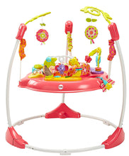 Load image into Gallery viewer, Fisher-Price Jumperoo