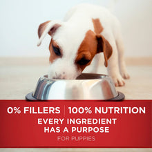 Load image into Gallery viewer, Purina ONE Natural Dry Puppy Food; SmartBlend Healthy Puppy Formula - 8 lb. Bag